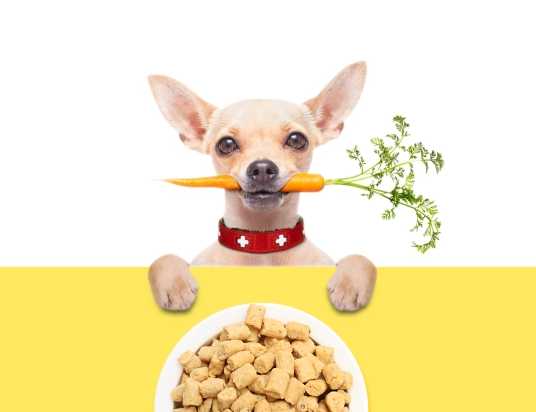 如何選擇性?xún)r(jià)比高的寵物食品包裝機(jī)