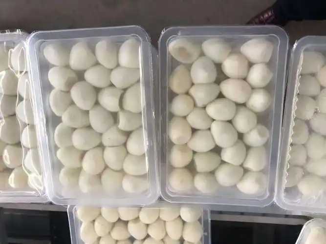 整線解決方案，優(yōu)化生產(chǎn)流程：鵪鶉蛋包裝神器來襲